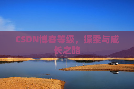 CSDN博客等级，探索与成长之路